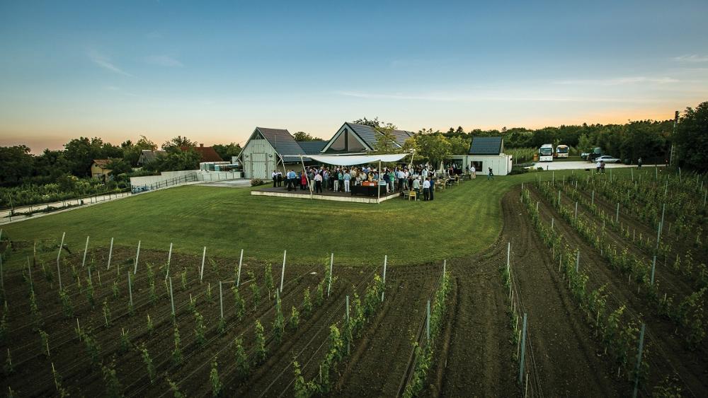 Etyeki Kúria Winery